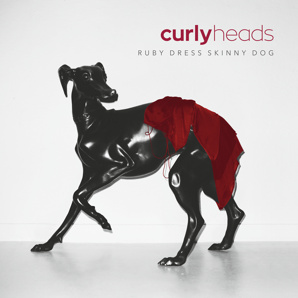 Curly Heads ALBUM - front 300dpi